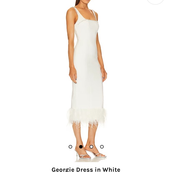 Likely Georgie Dress - Picture 3 of 4